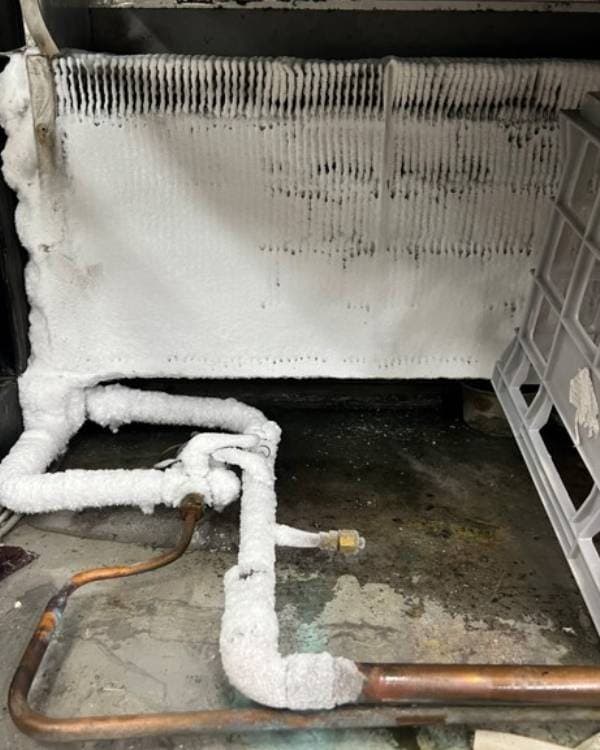 An iced-up cool room evaporator before service